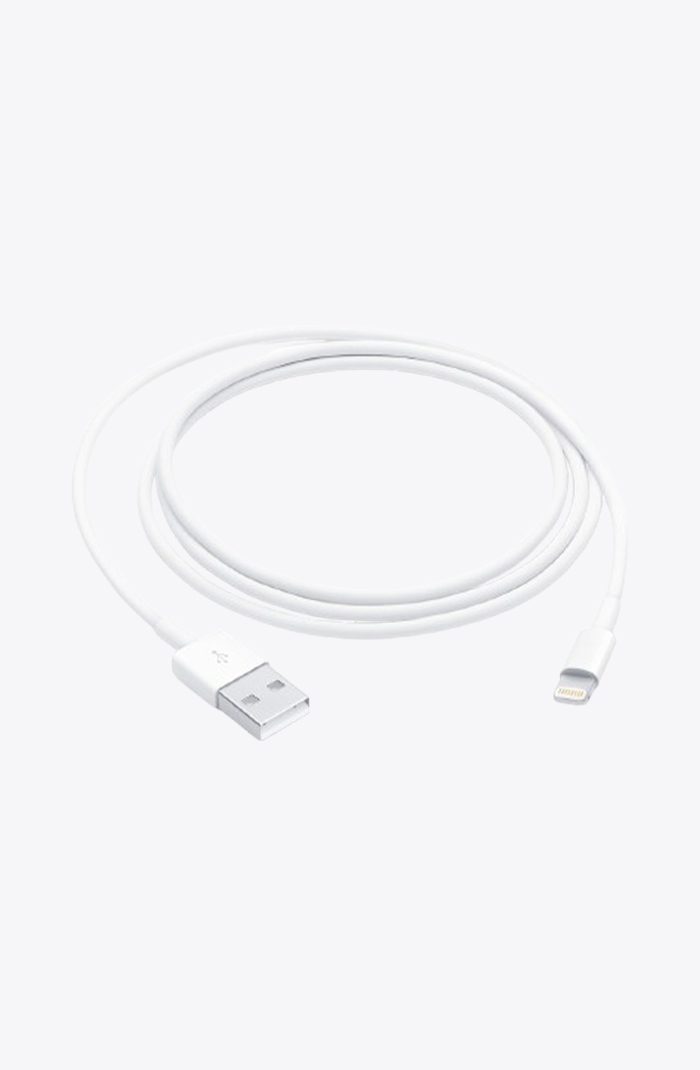 Apple Cable Lightning 1m